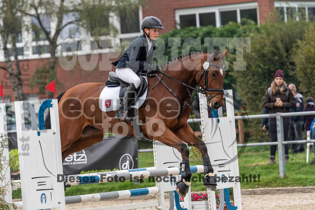 Goldene Schärpe 2020 - Pferde