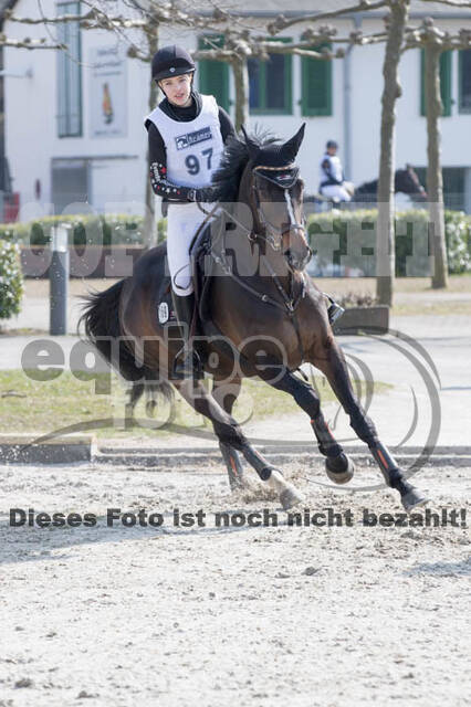 Eventing Langenfeld 2018