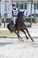 Eventing Langenfeld 2018