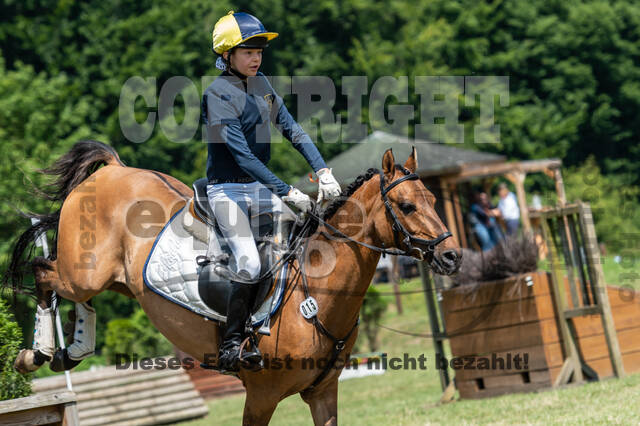 Goldene Schärpe 2021 - Ponys