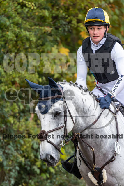 Goldene Schärpe 2020 - Pferde