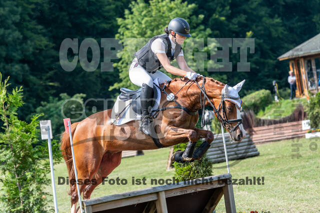 Goldene Schärpe 2021 - Ponys