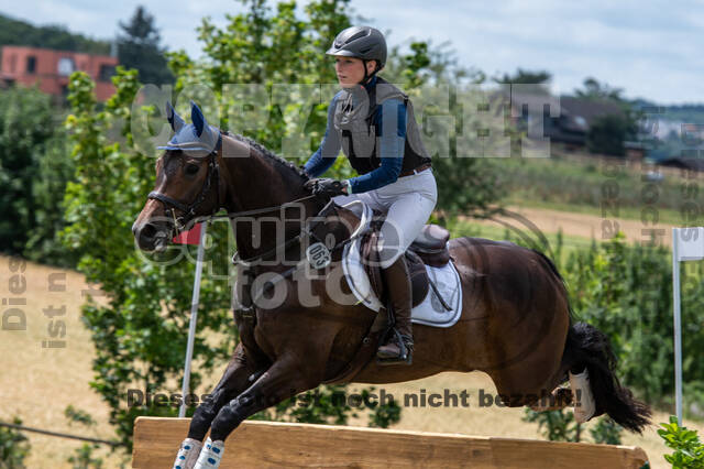 Bonn-Rodderberg Late-Entry-Vielseitigkeit (30.06.2020)