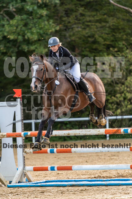 RFV Dinslaken-Hiesfeld (Herbstturnier)