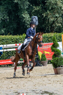 Goldene Schärpe 2021 - Ponys