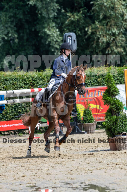 Goldene Schärpe 2021 - Ponys