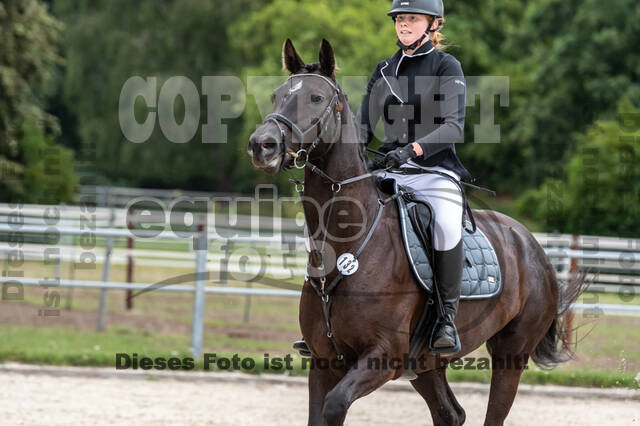 Late-Entry-Vielseitigkeit Langenfeld (06.+07.07.2020)