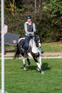 IGV Lehrgang der Sieger der Cups mit Frank Ostholt