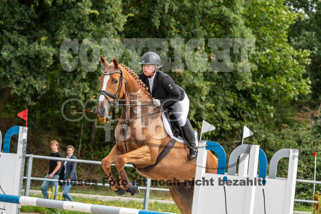 Late-Entry-Vielseitigkeit Langenfeld (06.+07.07.2020)