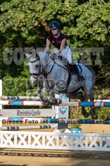 RFV Dinslaken-Hiesfeld (Herbstturnier)