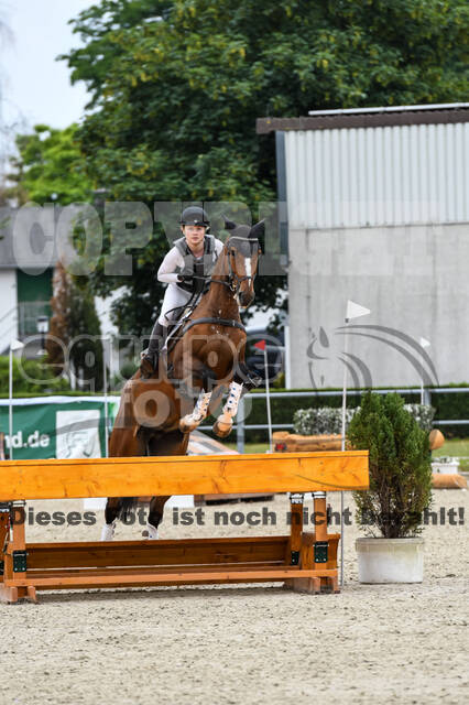 Late-Entry-Vielseitigkeit Langenfeld (11.+13./14.06.2020)