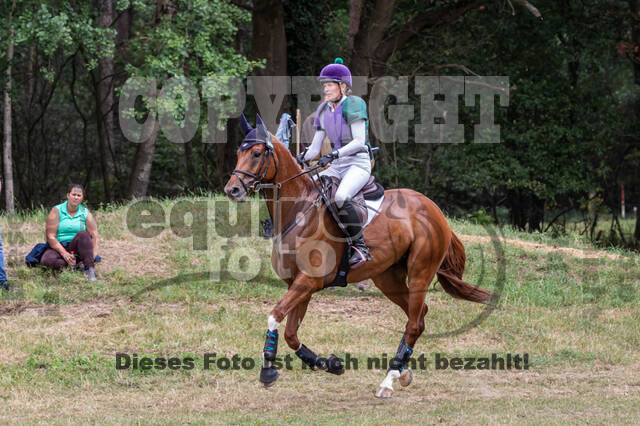 Late-Entry Vielseitigkeit Hamminkeln/Wesel (01.+02.08.2020)