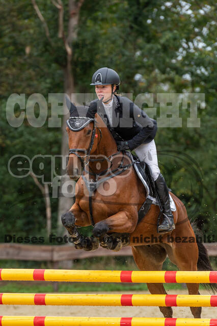 Vielseitigkeit RSV Wesel Obrighoven (26.+27.09.2020)