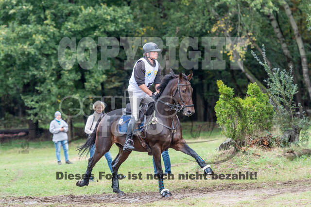 Vielseitigkeit RSV Wesel Obrighoven (26.+27.09.2020)