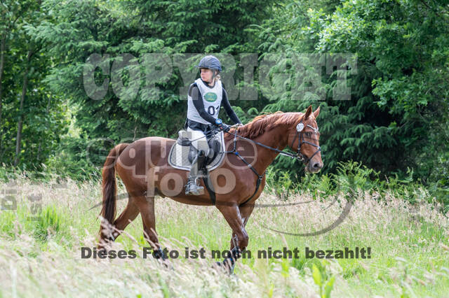 Westerstede Horse Trials 2021