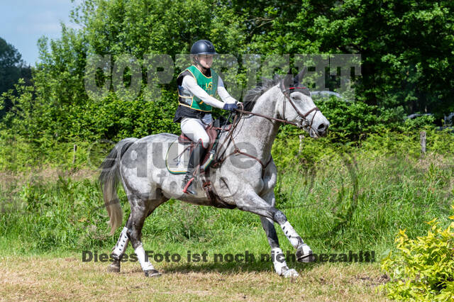 Westerstede Horse Trials (10.-13.06.2021)