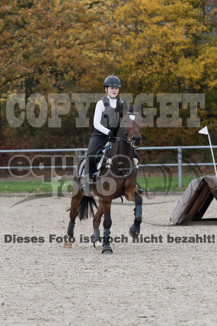 IGV Lehrgang der Sieger der Cups mit Frank Ostholt