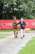 FEI European Championship Eventing 2017