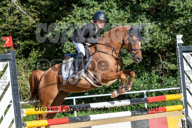 RFV Dinslaken-Hiesfeld (Herbstturnier)