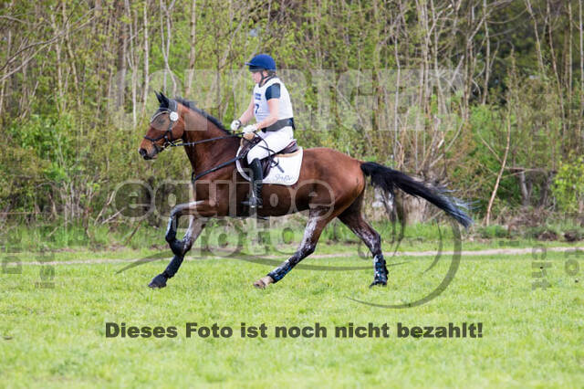 Vielseitigkeitsturnier RV Lippe-Bruch-Gahlen