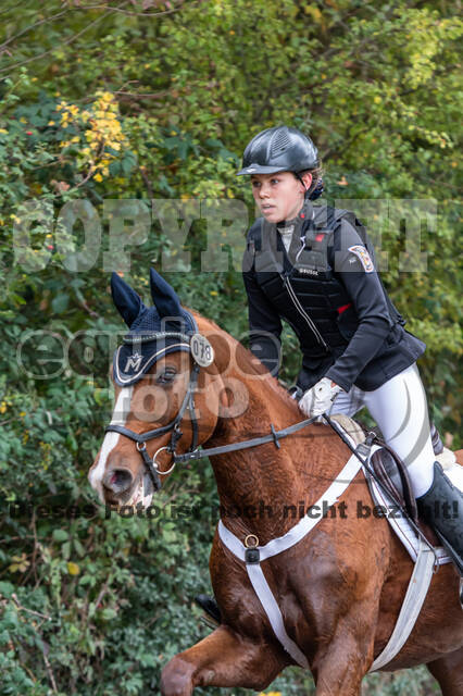 Goldene Schärpe 2020 - Pferde