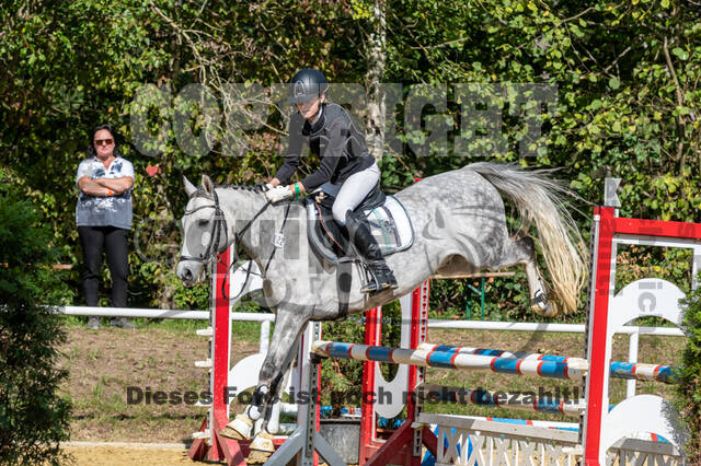 RFV Dinslaken-Hiesfeld (Herbstturnier)