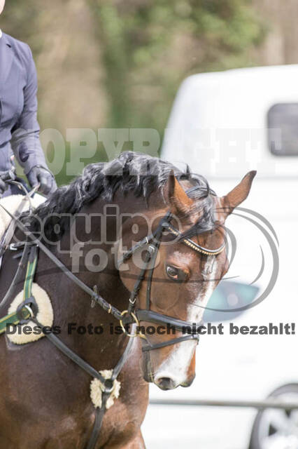 Frühjahrsvielseitigkeit RV Seydlitz Kamp