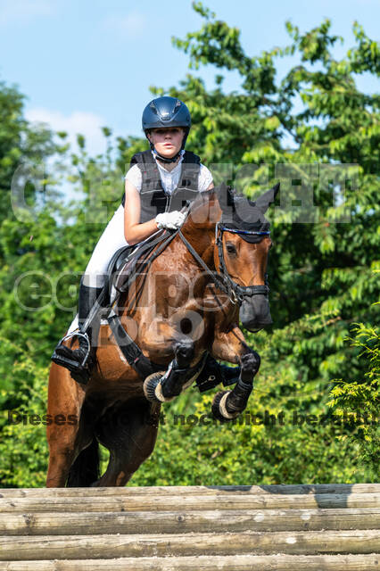Goldene Schärpe 2021 - Ponys