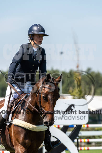 Kronenberg - De Peelbergen (August 2020)