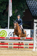 Goldene Schärpe 2021 - Ponys