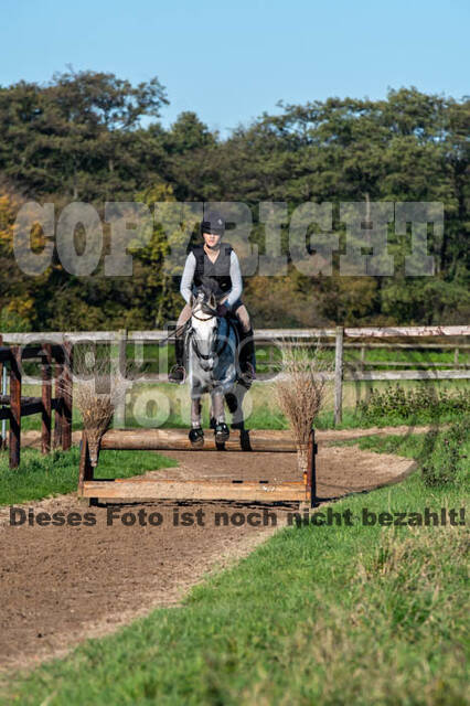 Vielseitigkeitslehrgang mit Jürg Kurbel (9.+10.11.2019)