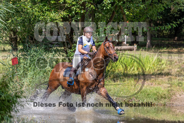 Late-Entry Vielseitigkeit Hamminkeln/Wesel (01.+02.08.2020)