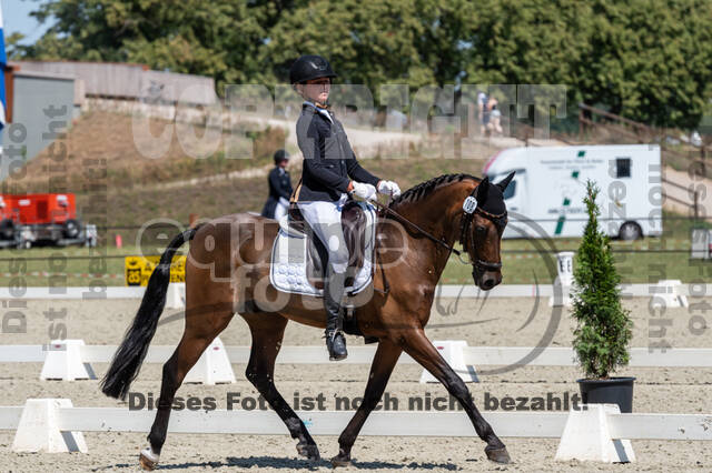 Kronenberg - De Peelbergen (August 2020)