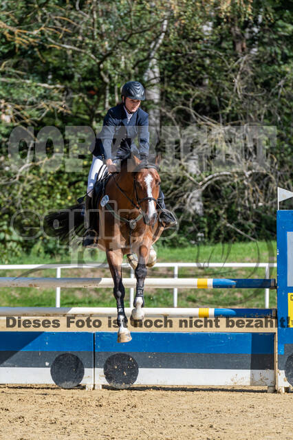 RFV Dinslaken-Hiesfeld (Herbstturnier)
