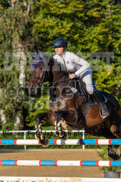 RFV Dinslaken-Hiesfeld (Herbstturnier)