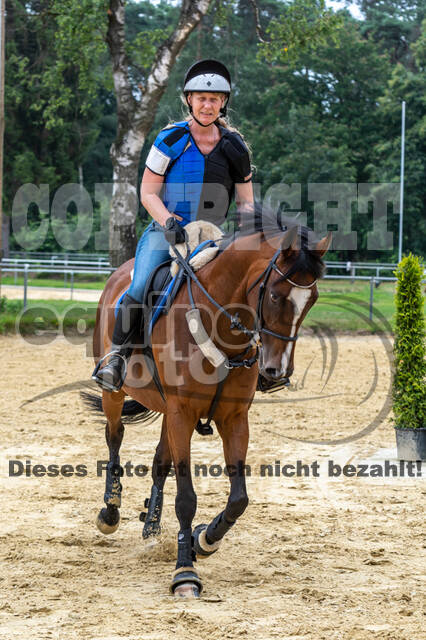 Hunter Geländetraining 10.07.2021 (Sonsbeck)