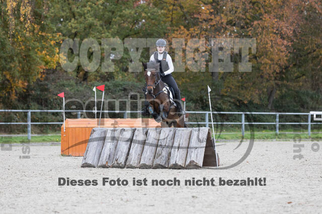 IGV Lehrgang der Sieger der Cups mit Frank Ostholt