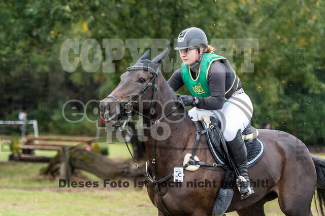 Vielseitigkeit RSV Wesel Obrighoven (26.+27.09.2020)