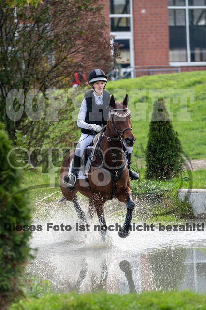 Goldene Schärpe 2020 - Pferde