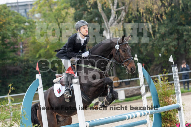 Goldene Schärpe 2020 - Pferde