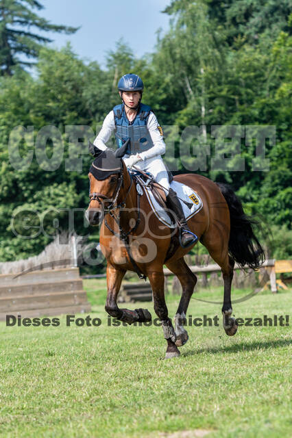 Goldene Schärpe 2021 - Ponys