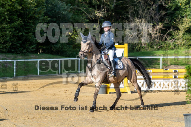 RFV Dinslaken-Hiesfeld (Herbstturnier)
