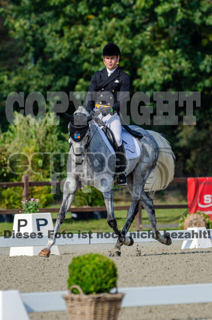 Deutsche Meisterschaft Vielseitigkeit (Luhmühlen)