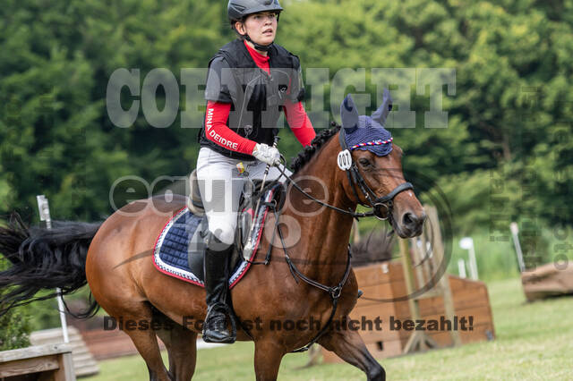 Goldene Schärpe 2021 - Ponys