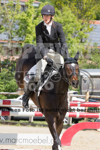 Sterne über Münster 2019 - CCI***S