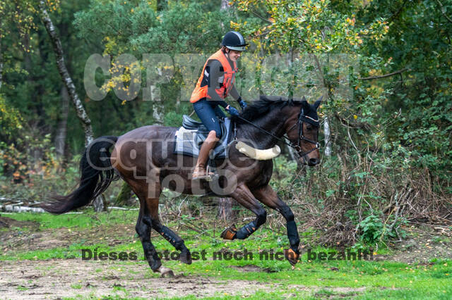 Training Bettina Hoy (01.11.2020)