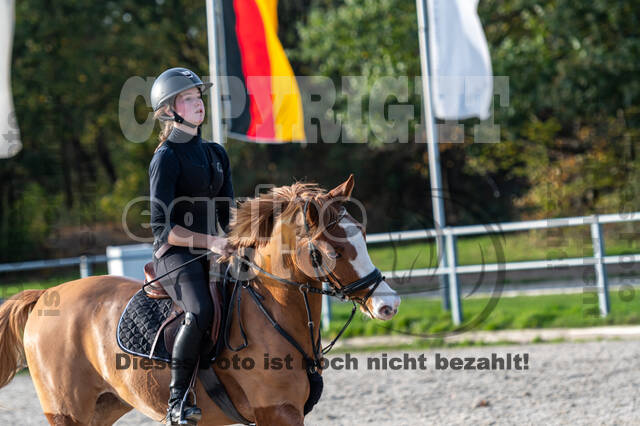 IGV Lehrgang der Sieger der Cups mit Frank Ostholt