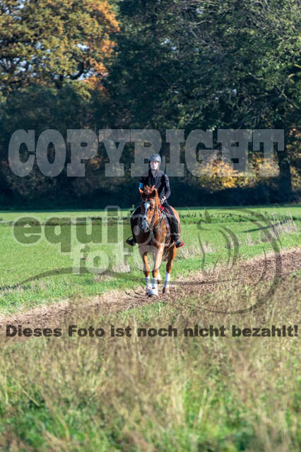 Vielseitigkeitslehrgang mit Jürg Kurbel (9.+10.11.2019)