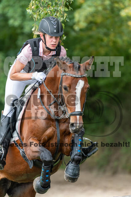 Late-Entry-Vielseitigkeit Langenfeld (06.+07.07.2020)