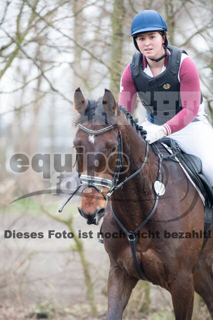 Jungpferdetag Hamminkeln